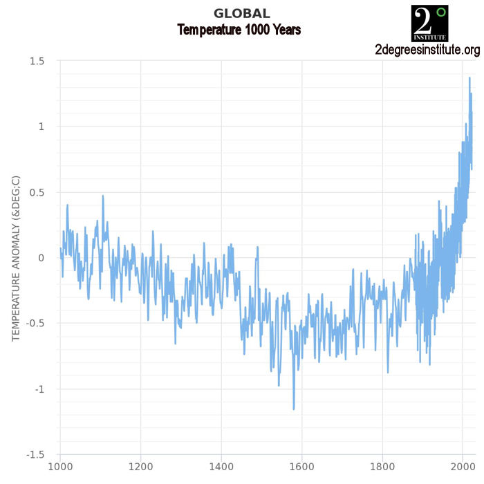 Global Temperature 1000 years